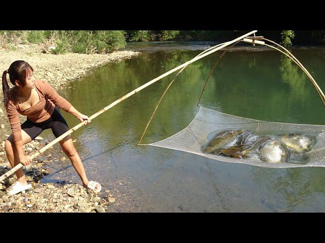 Best Fishing Techniques  | Traditional Fishing with Bamboo and Fishing Net | Catch a Lot of Fish