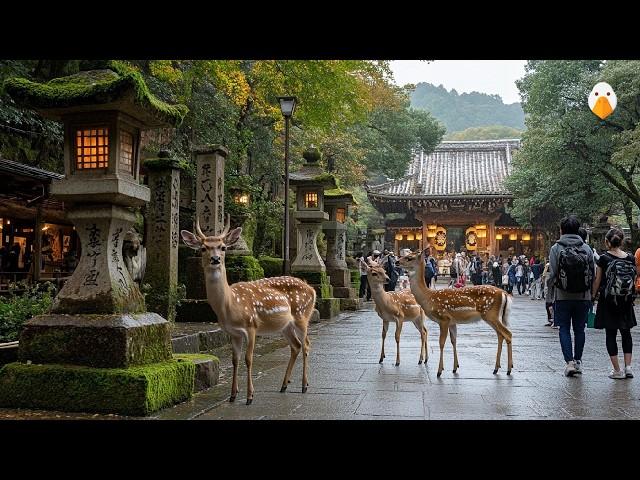 Nara, Japan Discover the Magical City Where Deer and Temples Coexist (4K UHD)