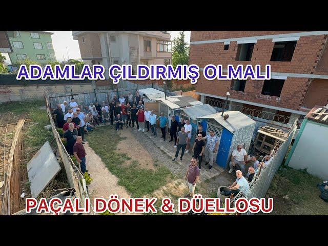 DÖNEKÇİLERİN BÜYÜK KAPIŞMASI