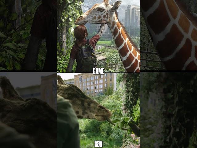 Last of us vs HBO TV SHOW #lastofus #lastofushbo