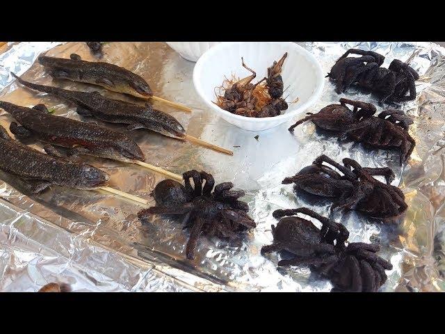 Amazing STREET FOOD VIETNAM - EAT SCORPIONS, WORM, INSECTS