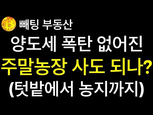 부동산 양도세 폭탄 없어진 주말농장 이제는 사도 되나?  텃밭에서 농지까지 커져가는 농사일  1000㎡ 이상 농지의 상대적 가치