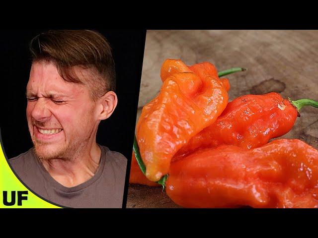 Ghost Pepper Taste Test | Unusual Foods