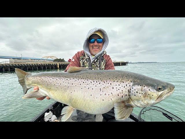 Big Trout  3 Best Baits To Use