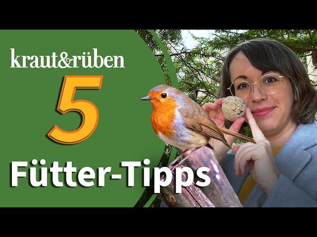 Vögel füttern im Winter: Vermeidet diese 5 Fehler!