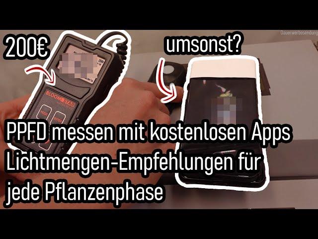 Die Wahrheit über Apps zum Lichtmessen - Growberg PPFD-Empfehlungen für jede Pflanzenphase