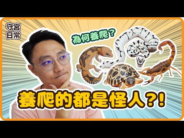 【肥尾守宮】為什麼開始養爬寵，接觸爬寵帶給我的好處是？ | 【守宮日常】