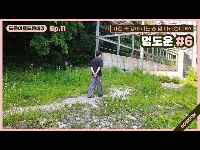 [Helping DOWOON3] Ep.11 DoggyDOWOON #6