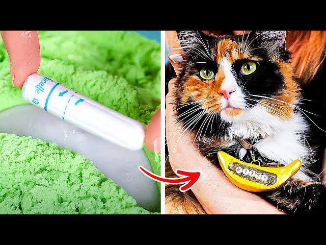 DIY Crazy Cool Stuff Your Cat Will LOVE!