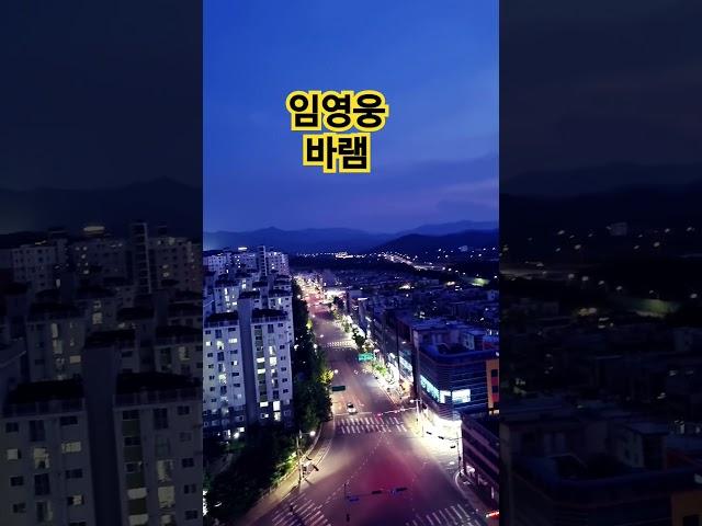 등대와설중사#하루일과를  마치면서  내려다본  야경#임영웅#shorts