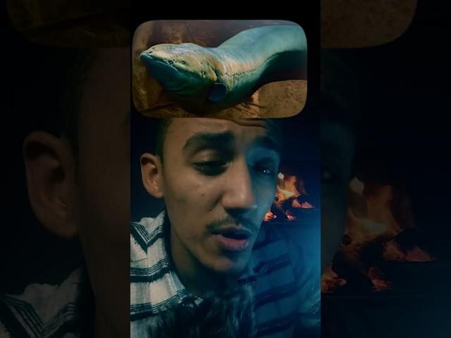 ليه نهر الأمازون خطر ؟