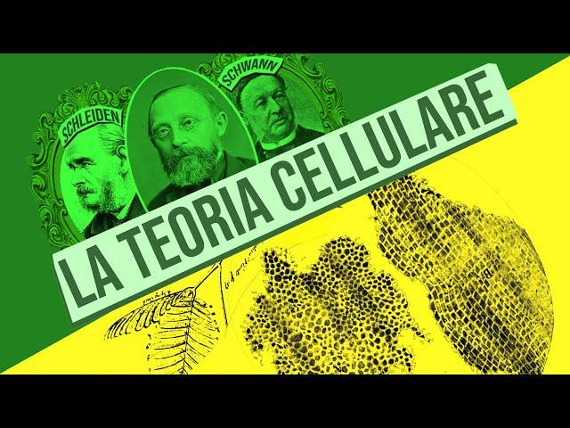 Teoria cellulare | Pillole di Scienza