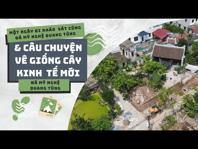 Một Ngày ĐI Khảo Sát Cùng Đá Mỹ Nghệ Quang Tùng và Câu Chuyện Giống Cây Kinh Tế Mới  #damynghe