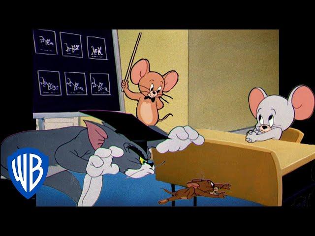 Tom und Jerry auf Deutsch  | „Zurück zur Schule“-Sonderausgabe!  | @WBKidsDeutschland​