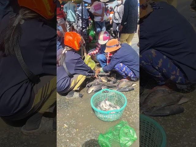 Great Fresh Fish Market Scene at kilo 9,Cambodia. #shorts