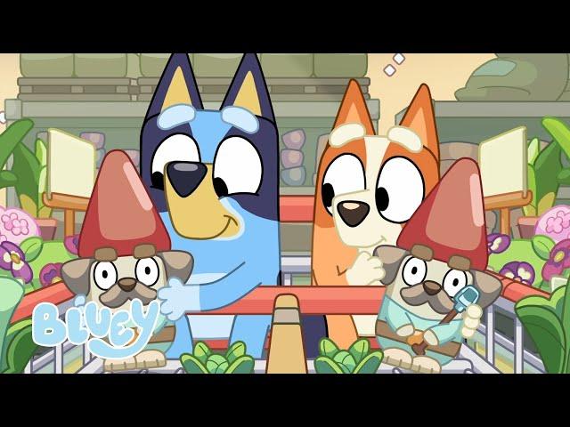 Bluey Series 2 Highlights   | Best of Bluey Season 2 | Bluey