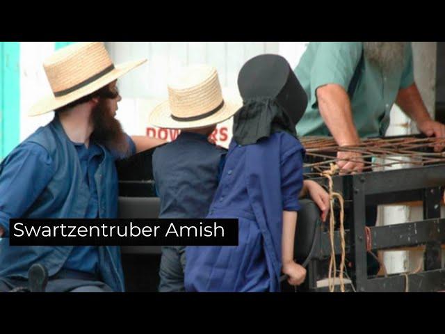 A Look inside a Swartzentruber Amish Life