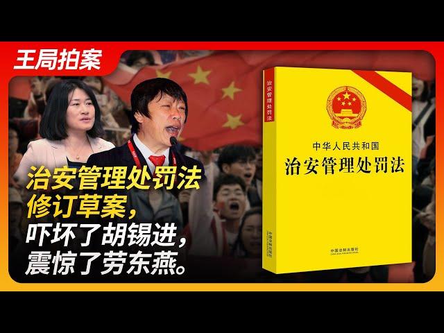 治安管理处罚法修订草案，吓坏了胡锡进，震惊了劳东燕。｜警察｜寻衅滋事｜口袋罪｜辱华｜治安管理处罚法｜胡锡进｜劳东燕｜極權政治｜服从性测试｜20230908王局拍案