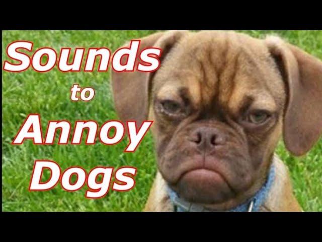 Sounds To Annoy Dogs