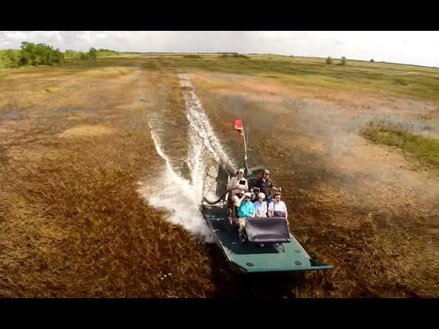 Florida Everglades Airboat Adventure - An Aerial View & Alligator's mating call