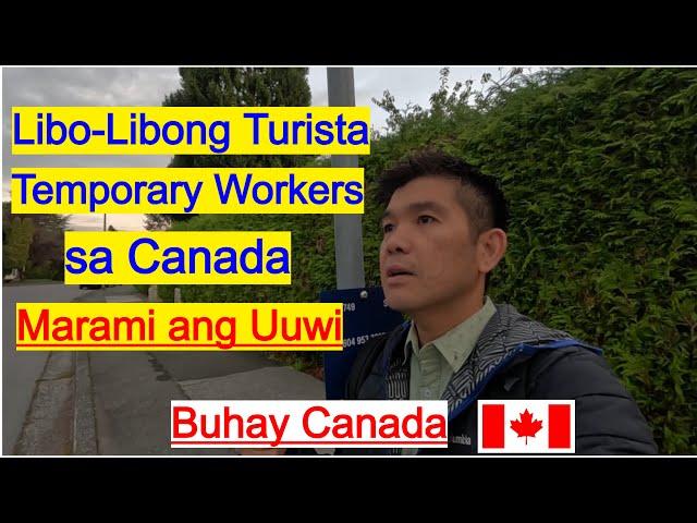 Maraming Turista at Temporary Workers sa Canada ang Uuwi! Buhay Canada!