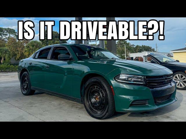 Buying a $3,300 V8 Charger Pursuit - Part 2