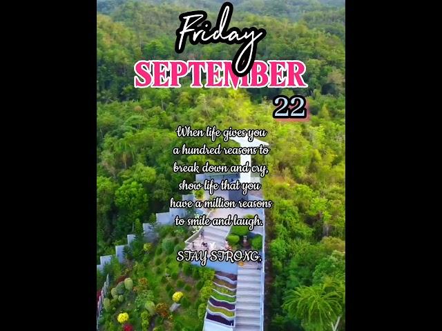 Friday Stay Strong _ Mirror of the World