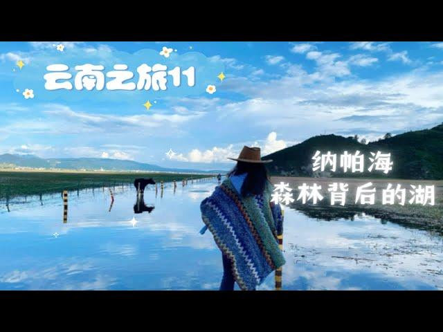 【云南之旅11】纳帕海环湖路自驾！最美水上公路，这才是心中的香格里拉