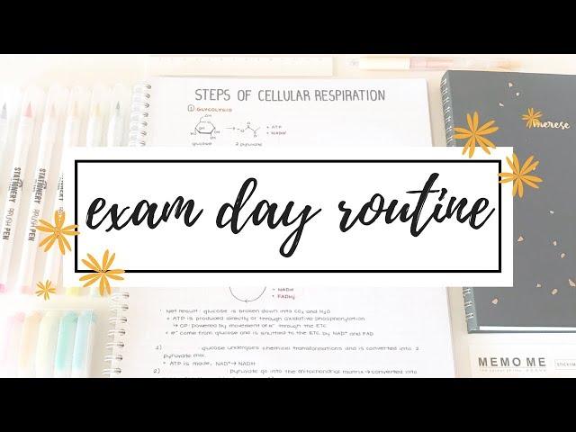 Exam Day Routine & Tips | studytee