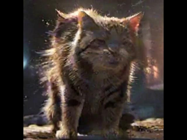 Cat Earth Blue Planet Terra the Blue Planet High Redshift Quasar(1)