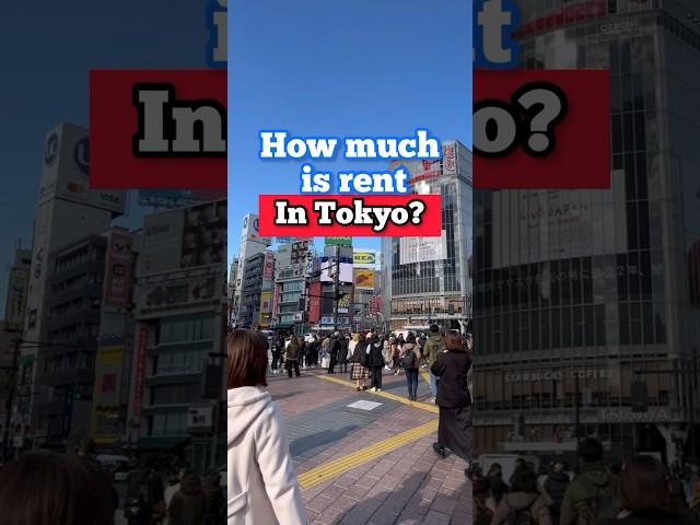 How much is rent in Shibuya? #realestate