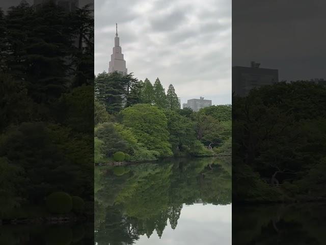 운치있는 신주쿠 공원 도보산책