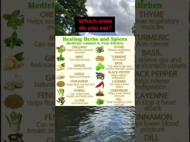 Healing Herbs & Spices | Natural Remedies