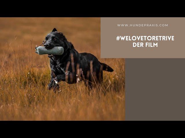 #welovetoretrieve - Der Film