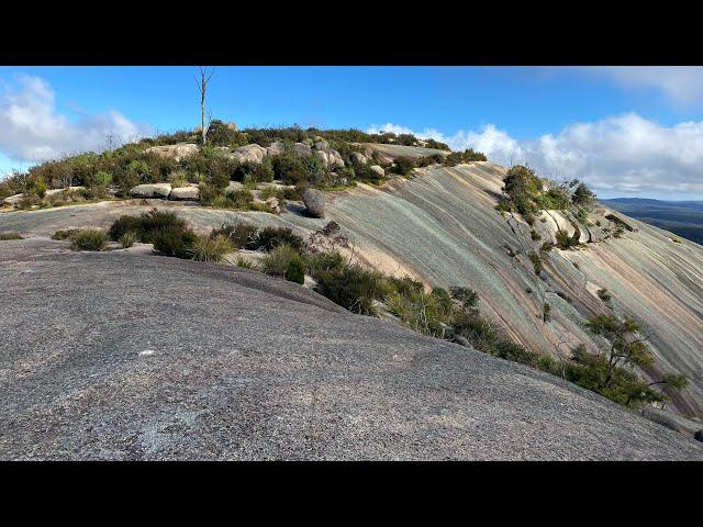 Bald Rock NP, NSW.