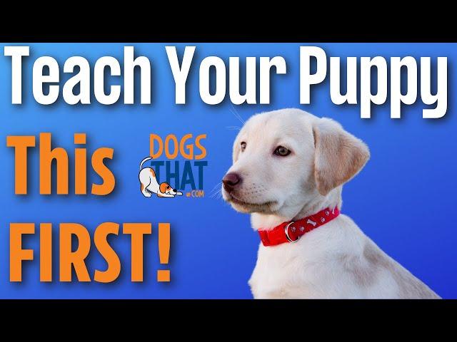 Puppy's First Training with Susan Garrett: Shaping, Targeting and Collar Conditioning