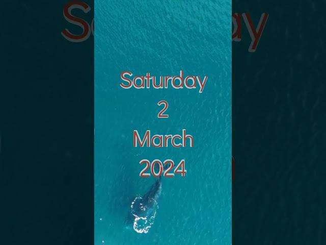 Crypto Whale Activity Saturday 2 March 2024 #cryptotrading #cryptonews #cryptowhale