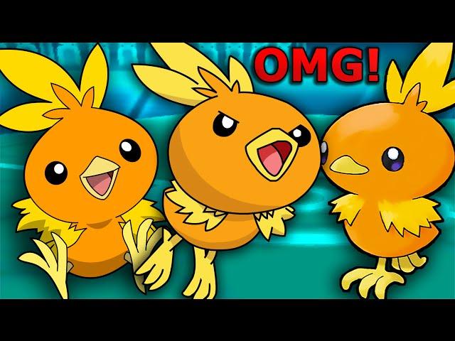 TORCHIC LITERALLY KILLS POKEMON!