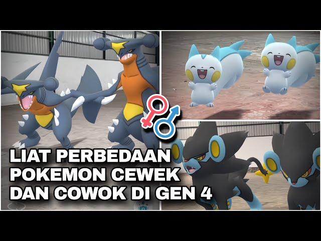 TERNYATA BEDA !! Bentuk Pokemon Cewek dan Cowok dari Generasi 4