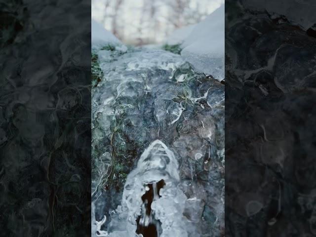 Freezing Creek Forms Natural Ice Sculpture #surveyor #raw