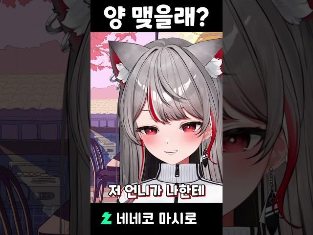 언니들이랑 양 맺을래? #스텔라이브 #버튜버 #마시로