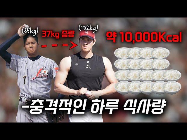 65️102kg 오타니 쇼헤이가 37kg 벌크업 한 방법