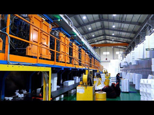 Amazing! Styrofoam container mass production plant. Styrofoam factory in Korea.