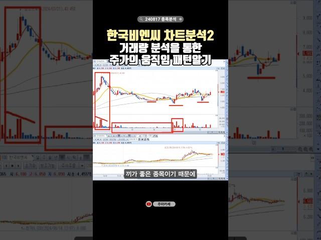 ▶한국비엔씨 차트분석 2