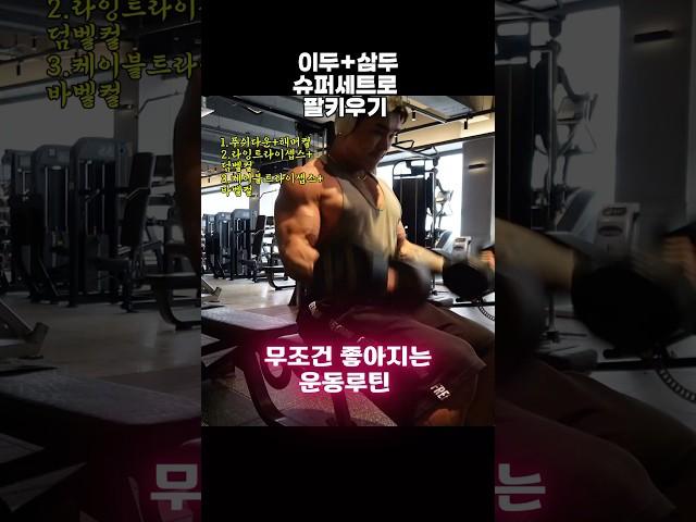 팔키우기루틴 #팔운동 #팔운동루틴 #이두운동 #삼두운동 #운동루틴 #운동꿀팁 #헬스 #헬스루틴 #헬스장 #다이어트 #운동브이로그 #운동하는여자 #몸만들기 #복근운동 #살빼기