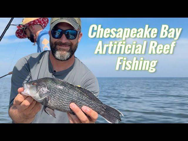 Multi-Species Fishing at Artificial Reefs on the Chesapeake Bay