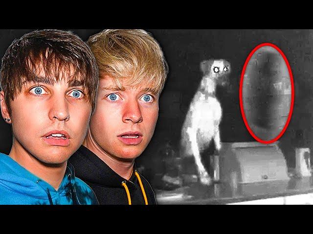 Scariest Ghost Sightings Caught By Pets!