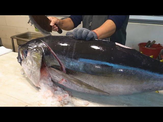 Amazing Skill！Best Tuna Cutting Master Collection, Luxurious Bluefin Tuna Sashimi 令人驚嘆的技巧！最好的鮪魚切割大師