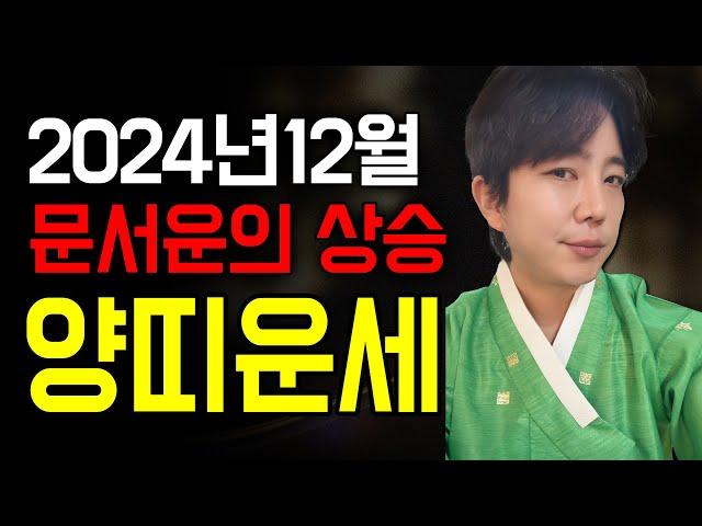 2024년 하반기 문서운이 상승하는 12월 양띠 운세는?