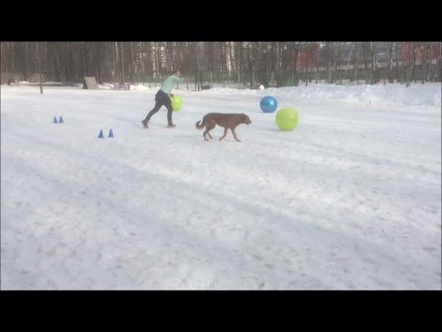 TRBG3 Round 2 Level I.  Liza + Anna Aleksandrova - Russia